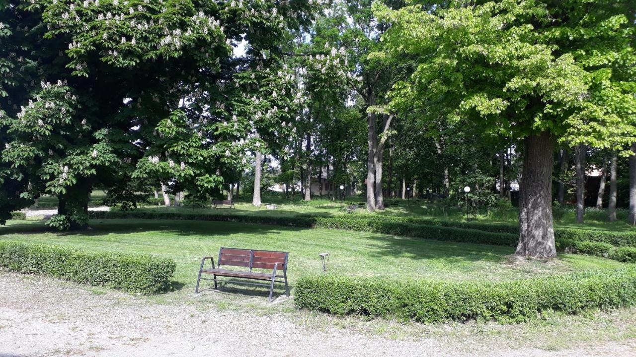 Dwor Strzyzew Bed & Breakfast Zelazowa Wola Dış mekan fotoğraf