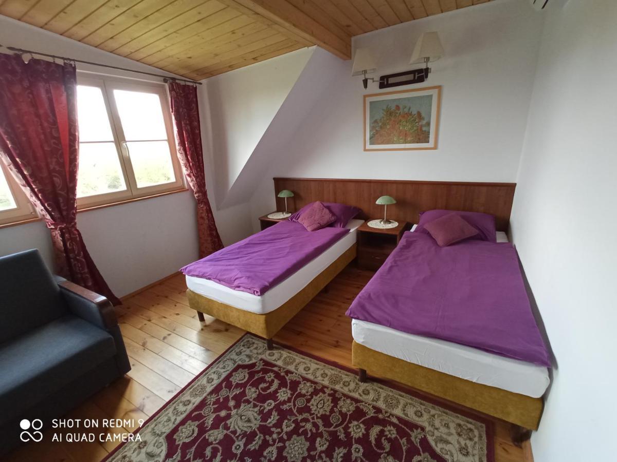 Dwor Strzyzew Bed & Breakfast Zelazowa Wola Dış mekan fotoğraf