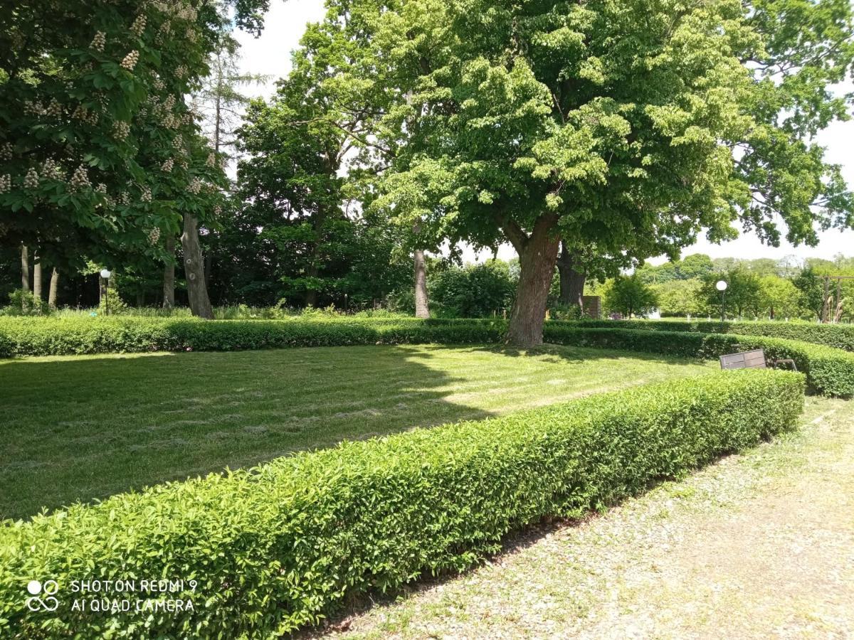 Dwor Strzyzew Bed & Breakfast Zelazowa Wola Dış mekan fotoğraf