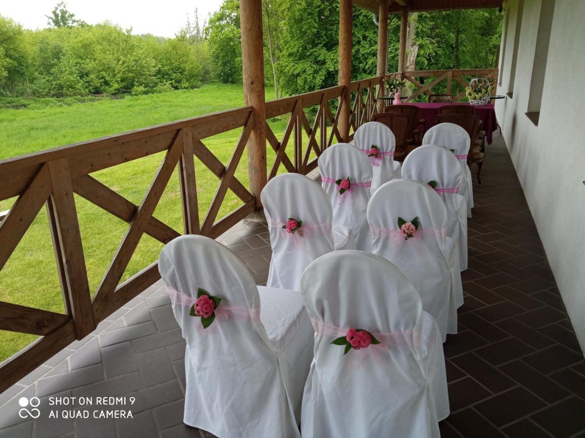 Dwor Strzyzew Bed & Breakfast Zelazowa Wola Dış mekan fotoğraf